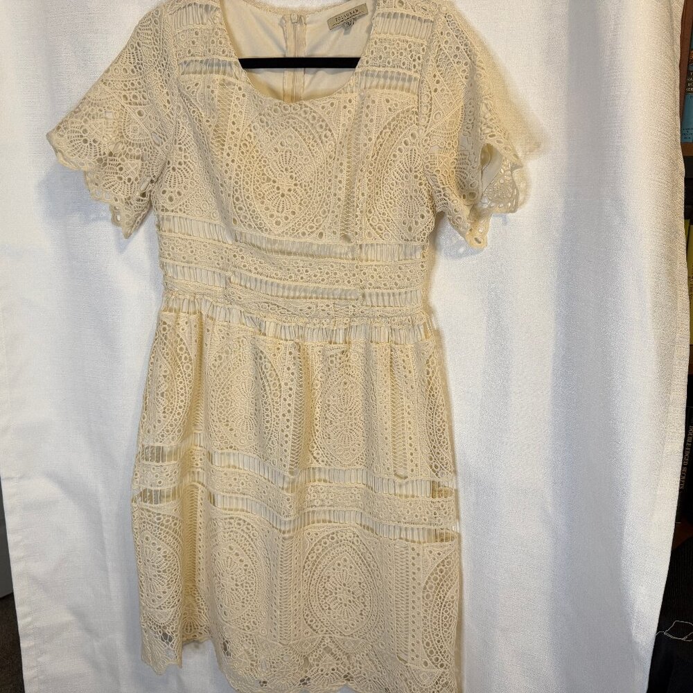 Polagram Med Ivory Lace Dress;  Short Sleeve; Lined; Weddings/Showers/Graduation